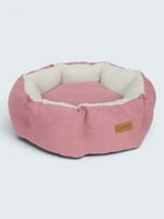 Kirpi Pembe