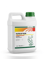 Nutrilop Bor 5 KGNutrilop Bor Boron Etanolamin altıntarALTINTARNutrilop Bor 5 KG