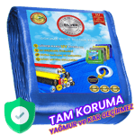 silver-pe-branda-100-grm2-1bf1d5.png