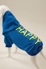 HAPPY Mavi Kapüşonlu Köpek Sweatshirt (9'lu) Set