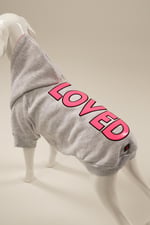 LOVED Gri Kapüşonlu Köpek Sweatshirt (9'lu) Set