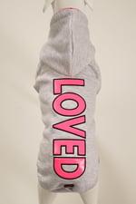 LOVED Gri Kapüşonlu Köpek Sweatshirt (9'lu) Set