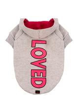 LOVED Gri Kapüşonlu Köpek Sweatshirt (9'lu) Set