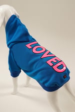 LOVED Mavi Kapüşonlu Köpek Sweatshirt (9'lu) Set