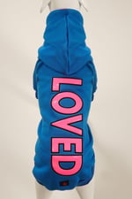 LOVED Mavi Kapüşonlu Köpek Sweatshirt (9'lu) Set