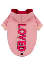 LOVED Pembe Kapüşonlu Köpek Sweatshirt (9'lu) Set
