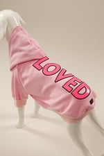 LOVED Pembe Kapüşonlu Köpek Sweatshirt (9'lu) Set