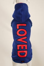 LOVED Sax Mavi Kapüşonlu Köpek Sweatshirt (9'lu) Set