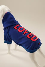 LOVED Sax Mavi Kapüşonlu Köpek Sweatshirt (9'lu) Set