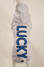 LUCKY Gri Kapüşonlu Köpek Sweatshirt (9'lu) Set