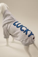 LUCKY Gri Kapüşonlu Köpek Sweatshirt (9'lu) Set