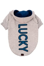 LUCKY Gri Kapüşonlu Köpek Sweatshirt (9'lu) Set