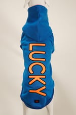 LUCKY Mavi Kapüşonlu Köpek Sweatshirt (9'lu) Set