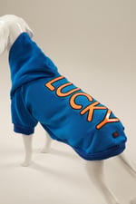 LUCKY Mavi Kapüşonlu Köpek Sweatshirt (9'lu) Set