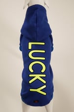 LUCKY Sax Mavi Kapüşonlu Köpek Sweatshirt (9'lu) Set