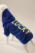 LUCKY Sax Mavi Kapüşonlu Köpek Sweatshirt (9'lu) Set