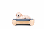 Luta Light Pet Bed