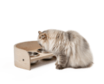 Nook Diner Feeding Bowl