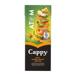 Cappy Atom Meyve Suyu Ballı Karışık Meyve Nektarı 200ml uht