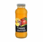 Cappy Meyve Suyu Karışık 250ml cam