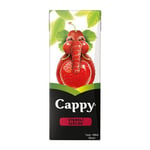 Cappy Meyve Suyu Vişne 200ml uht