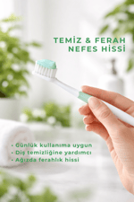 Bio AsiaBio Asia Aloe Vera Diş Macunu – Hassas Dişlere Uygun Yatıştırıcı & Doğal Temizlik 130 ml