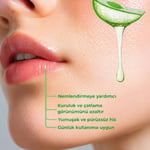 Bio AsiaBio Asia Aloe Vera Lip Balm – Yoğun Nemlendirici, Onarıcı Bitkisel Dudak Bakımı (Renksiz)