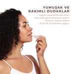 Bio AsiaBio Asia Hindistan Cevizi & Aloe Vera Lip Balm – Tropikal Koku, Onarıcı Nemlendirme