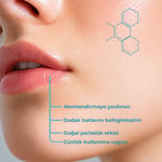 Bio AsiaBio Asia Kolajen & Aloe Vera Lip Balm – Dolgunlaştırıcı & Nem Canlandırıcı Dudak Bakımı