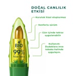 Bio AsiaBio Asia Luxury Color Lipstick – Yoğun Nemli, Kadifemsi Doku & Uzun Süre Kalıcı Renk (Pembe)