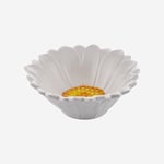 Edelweiss Italy Camomilla Beyaz Kase 16x16 cm  EW716D