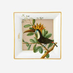 Vista Alegre AMAZONIA Kare Tabak 12,5 cm  21133616