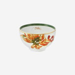 Vista Alegre AMAZONIA Kase 11 cm  21133550