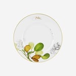 Vista Alegre AMAZONIA Yemek Tabağı 30 cm  21133054