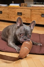 Baguette Nosework Plush Toy