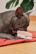 Eclair Nosework Plush Toy