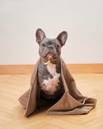 Soft Care Pet Towel