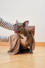 Soft Care Pet Towel