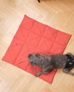 Terracotta Play Mat