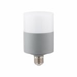 ZMR Led Ampul Oval Dekoratif 40W E27 Beyaz Işık 6500K