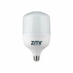 ZMR Torch Ampul E27 30W 6500K