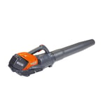 OLEO-MAC BVi 60 BOOST AKÜLÜ ÜFLEME MAKİNESİ 5.0Ah+ŞARJ CİHAZI