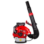 PALMERA EB995 EUR5 ÜFLEME MAKİNESİ SIRT TİPİ