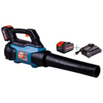 SENIX BLAX2-M3-EU AKÜLÜ ÜFLEME MAKİNESİ 6.0Ah