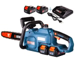 SENIX CSX2-M2-EU AKÜLÜ TESTERE 2x4.0Ah