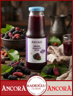 Ancora Sikma Karadut Suyu 1 Lt
