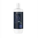 INDOLA DEVELOPER %6 1 LT OKSİDAN 20 VOL.