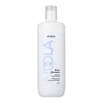 INDOLA SİLVER ŞAMPUAN 1000 ML 