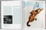  Cats. Photographs 1942‑2018  Kitap
