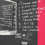 Broadcast - Tender Buttons Plak LP | Indie Electronic ve Dream Pop Klasiği Plak 